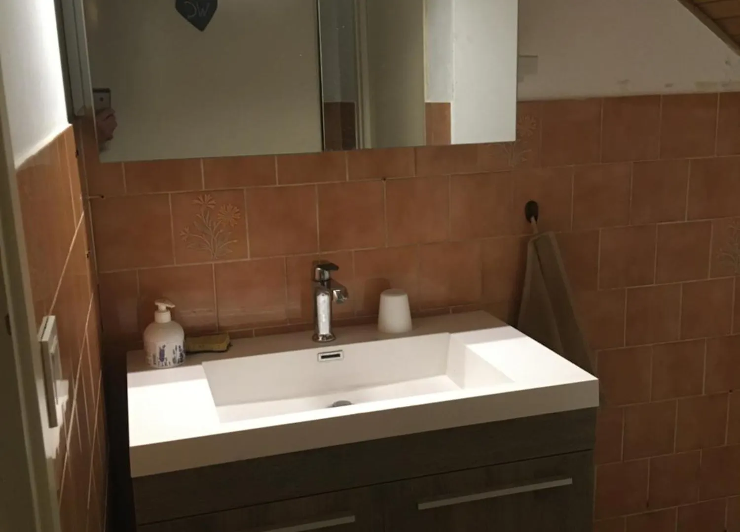 Le Bos Clard Villa Felines Holiday home