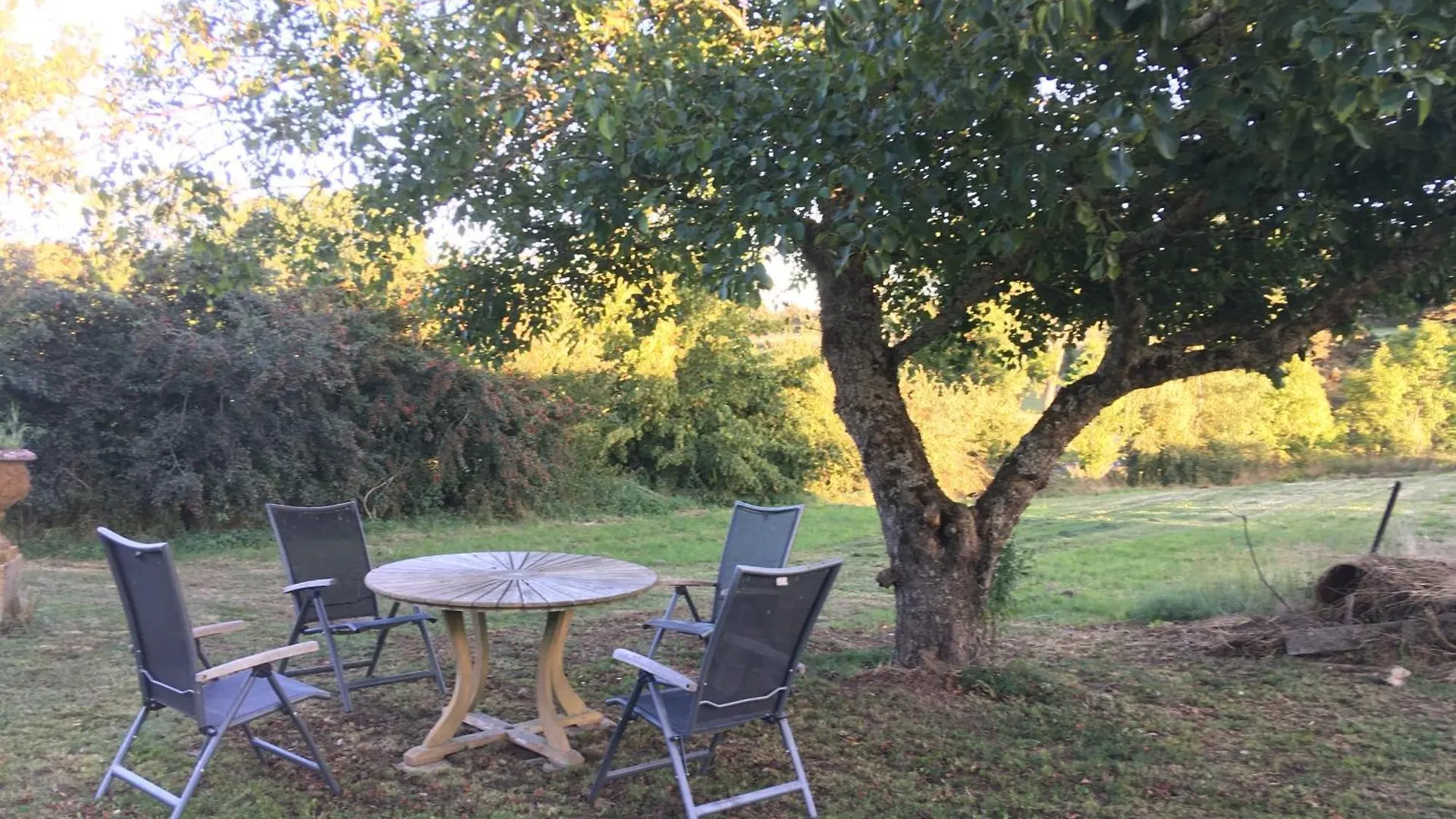 Le Bos Clard Villa Felines France